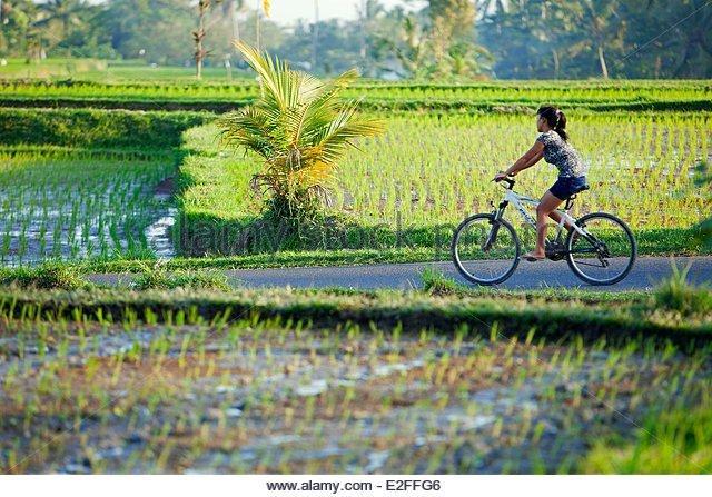 Villa Salema Jasri Ngoại thất bức ảnh