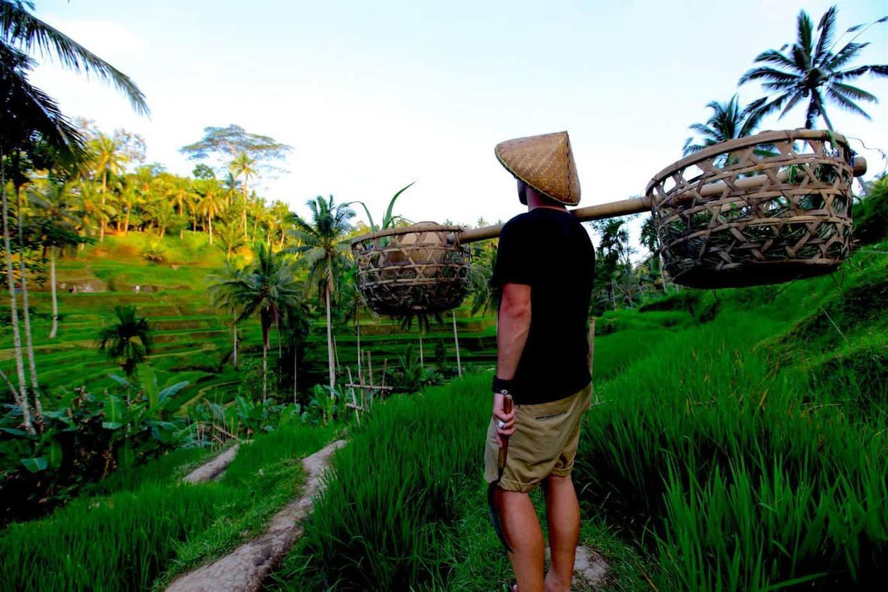 Villa Salema Jasri Ngoại thất bức ảnh